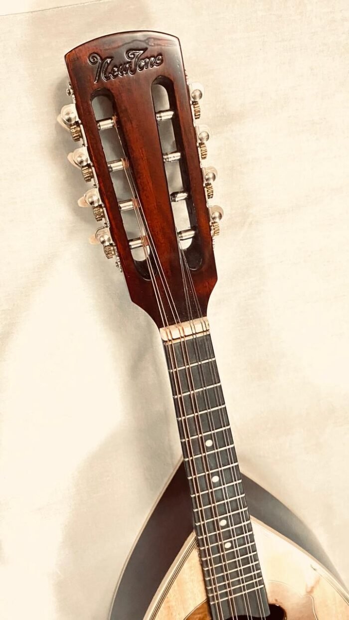 Mandolin - Image 3