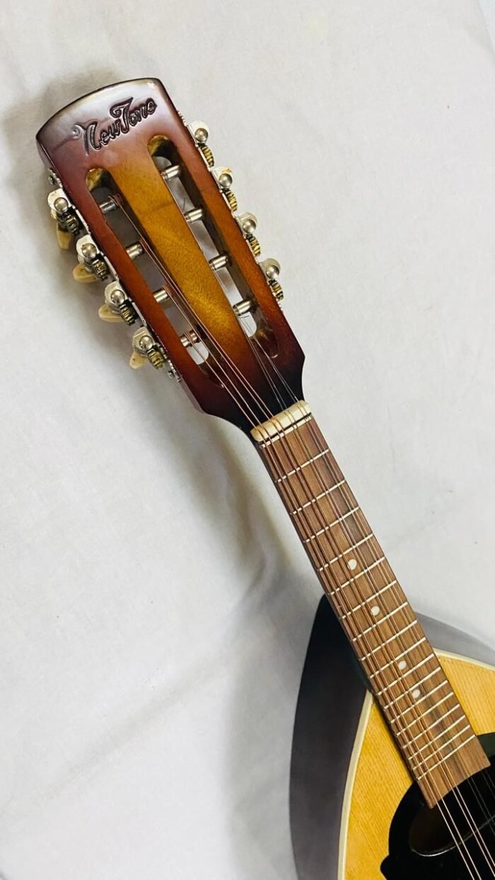 Mandolin - Image 3