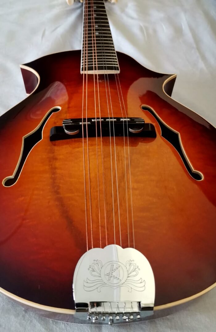 Arch top Mandolin - Image 5